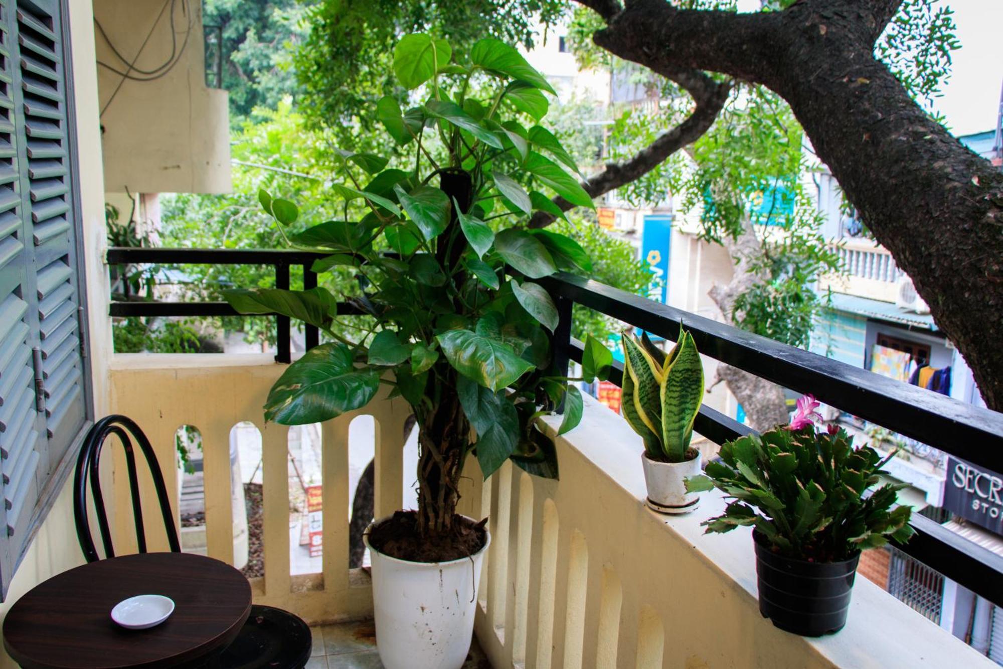 Hanoi Family Homestay Zewnętrze zdjęcie