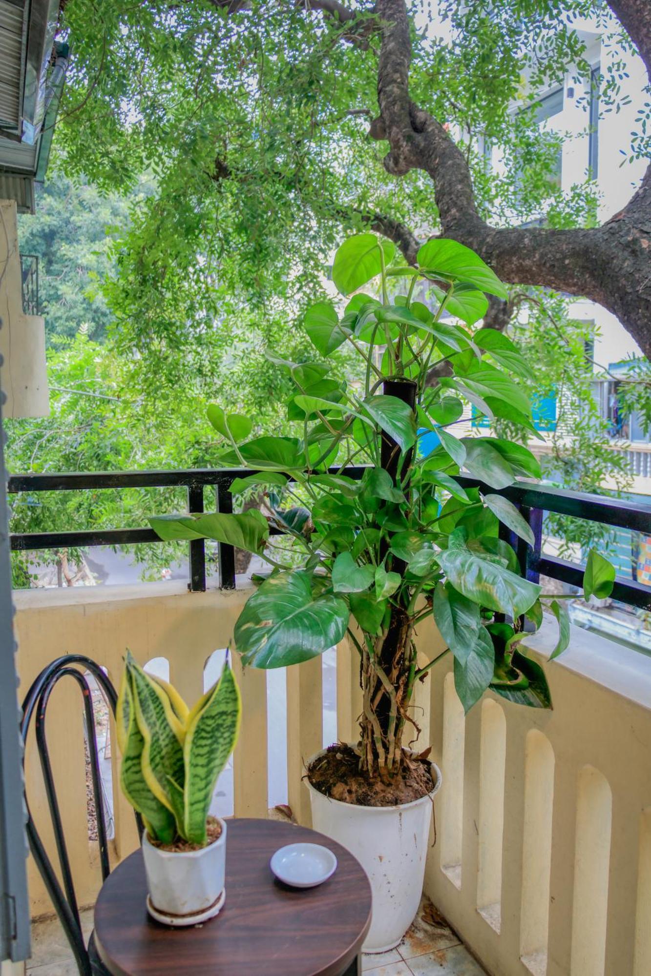 Hanoi Family Homestay Zewnętrze zdjęcie